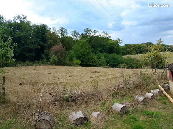 Terrain animaux