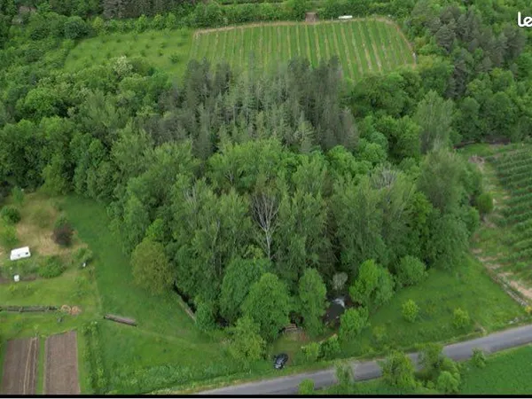 Vente terrain 6000m2