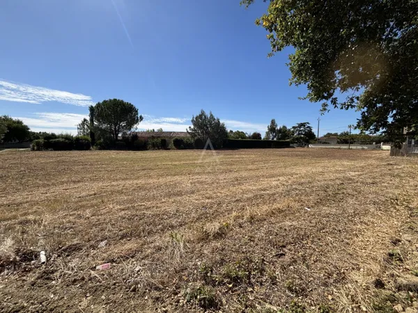 Terrain artisanal 2988 m²