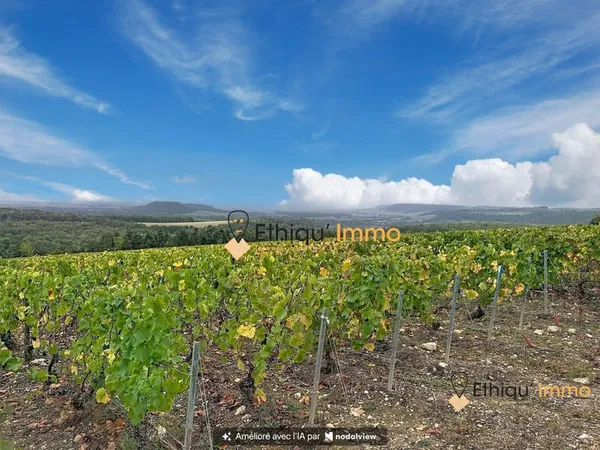 Domaine Viticole de Bourgogne