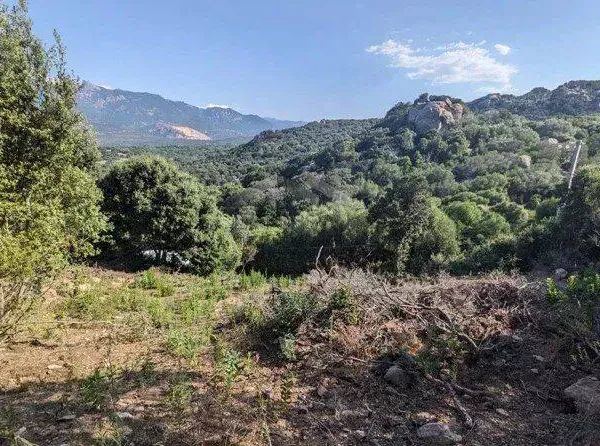 Terrain constructible 8400 m²