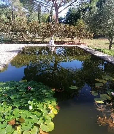 Ferme rénovée avec jardin luxuriante sur 11 ha