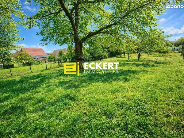 Terrain 710 m² Duppigheim