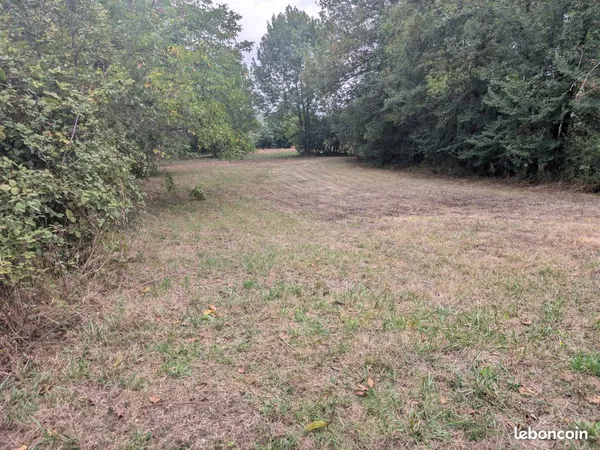 Terrain constructible