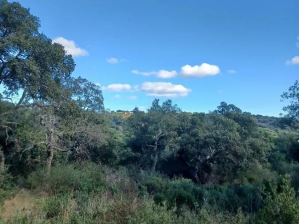 Terrain 26900 m²