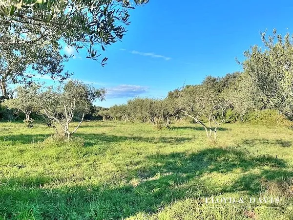 Terrain en individuel 1764 m²