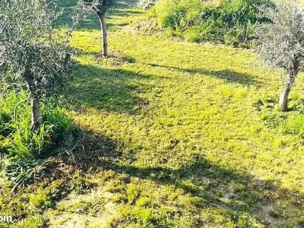 Beau terrain constructible 1000m2