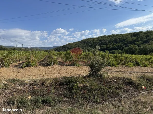 Terrain 769 m² Le Bosc