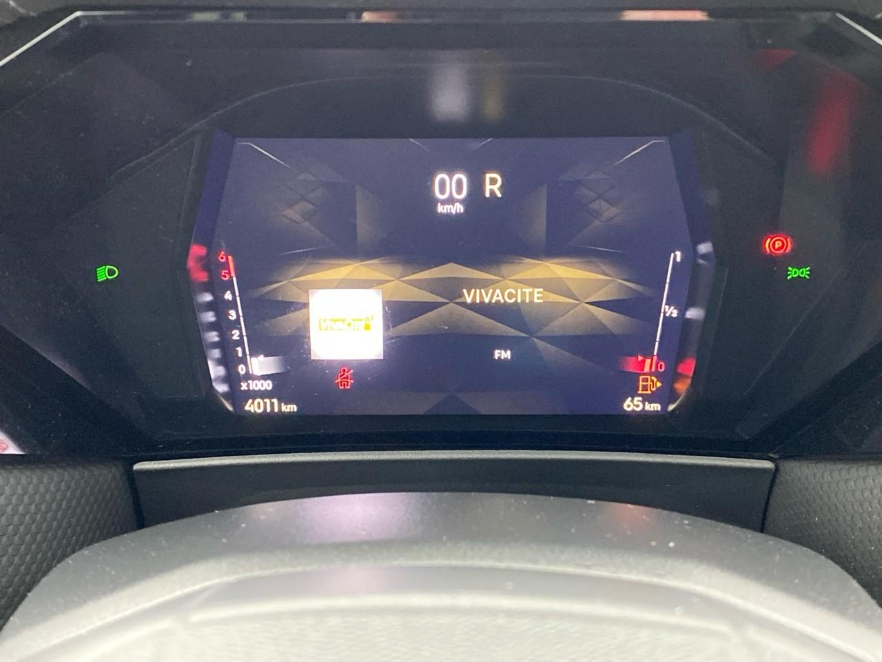 Ds Ds 4 bluehdi 130ch rivoli automatique — photo 14