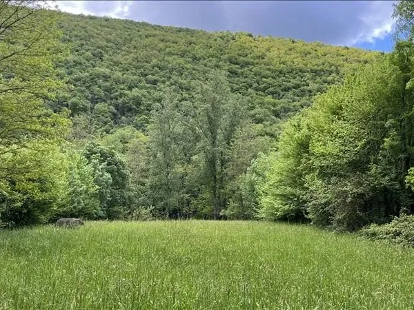 Terrain 3018 m²