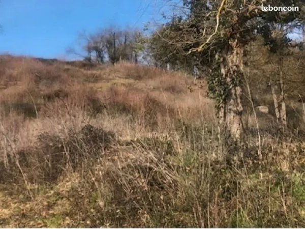 Terrain constructible 4902 m2