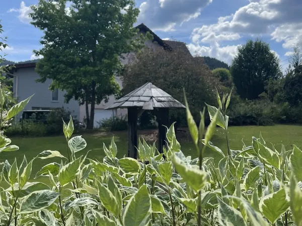 Saint-Michel-Sur-Meurthe - Belle villa avec piscine
