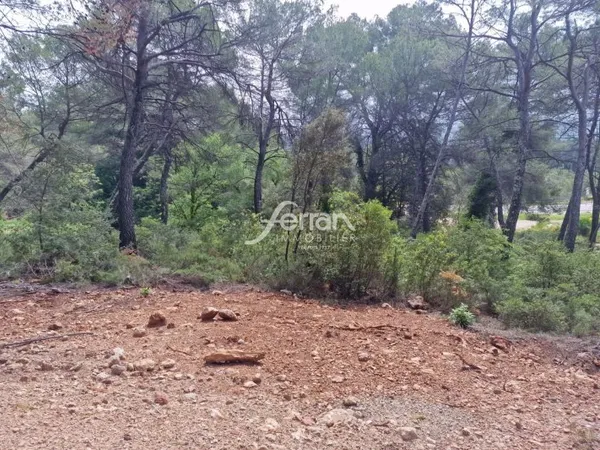 Terrain en individuel 413 m²
