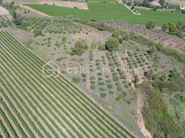 Terrain agricole 15 365 m² Villeveyrac