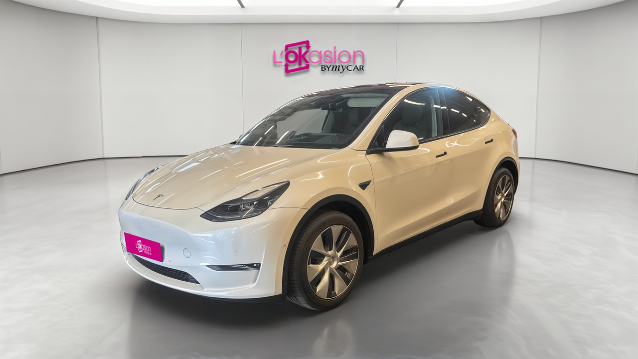 Tesla MODEL Y Long-Range Dual Motor AWD — photo 1