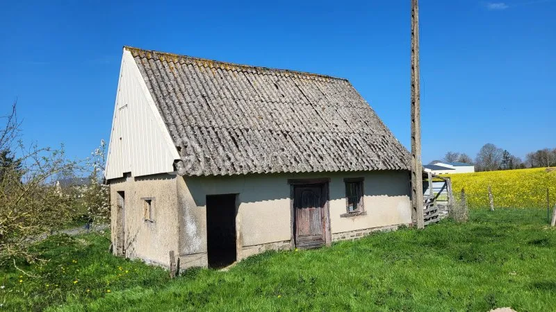 Photo 19