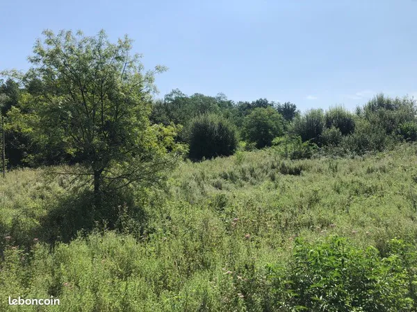 Terrain agricole