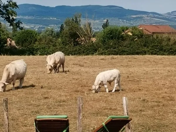 Maison a vendre