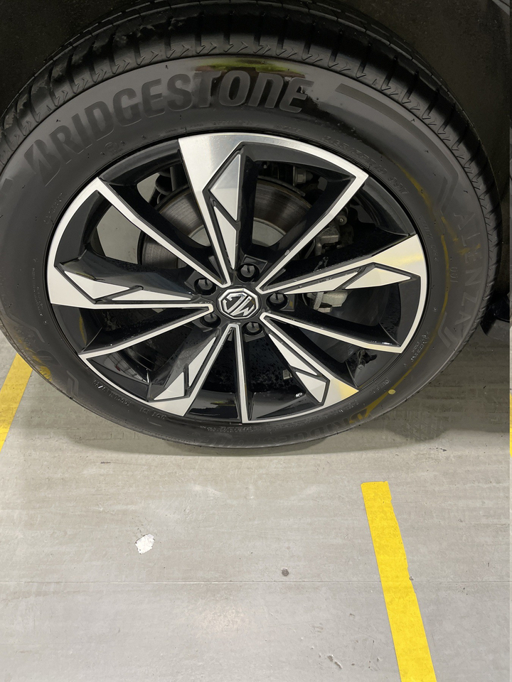 MG EHS — photo 41
