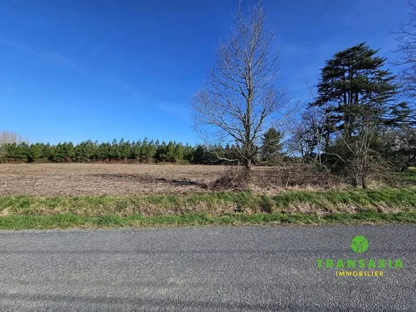 Terrain 1990 m²
