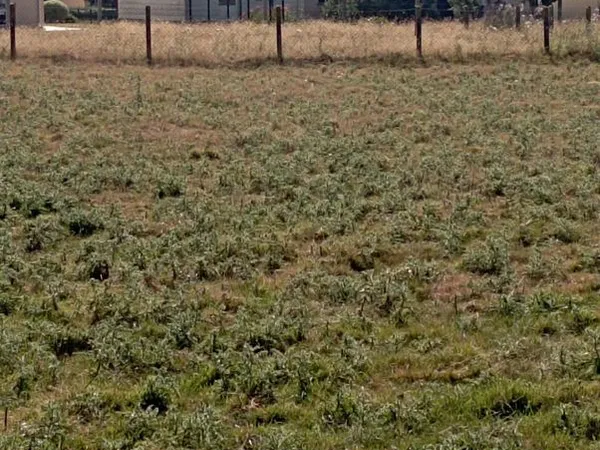 Terrain constructible