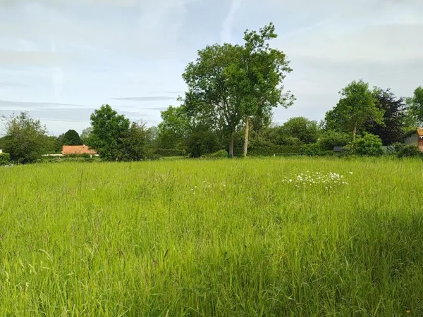 Terrain 1453 m²