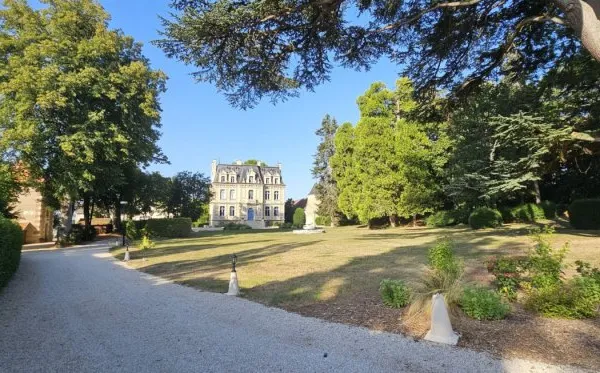 Château 40 pièces