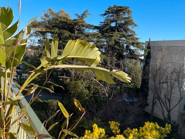 Appartement T3 Toulon Cap brun