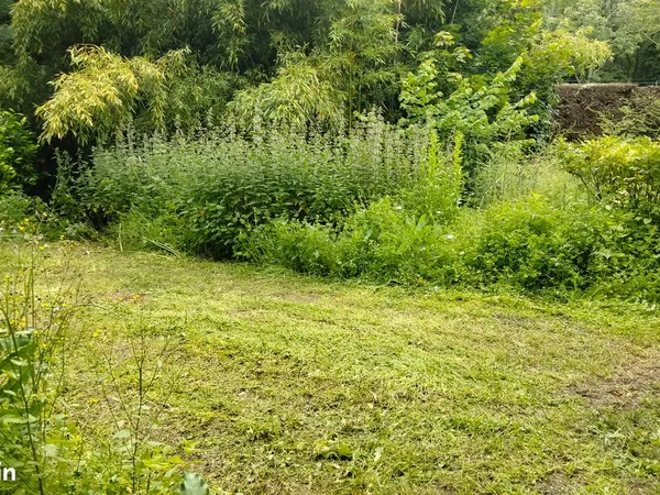 Terrain constructible saint didier au mont d'or