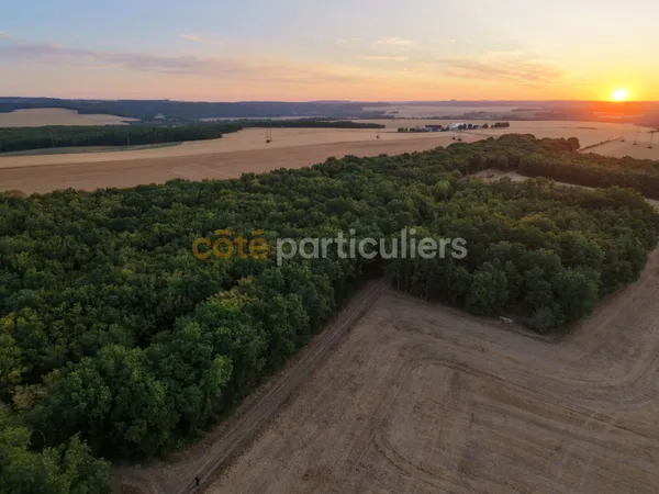 Forêt patrimoniale de 36 ha ; Bourgogne-Franche-Comté
