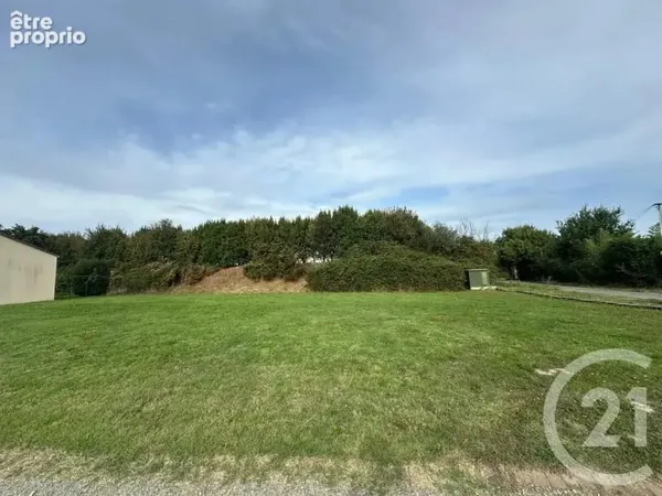 Terrain 560 m²