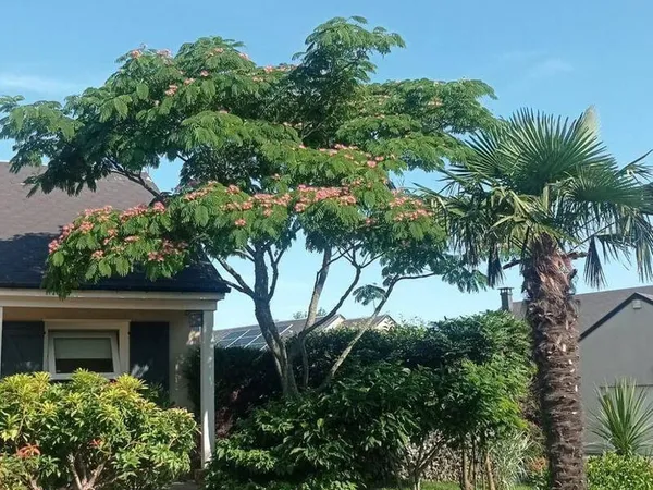 Maison 6 pièces 160 m²