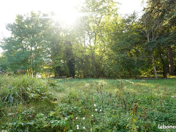 Terrain 1175 m² MONTHOU SUR CHER