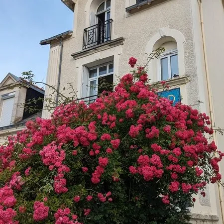 Maison 4 chambres avec Jardin Hyper Centre Bourg Année 30