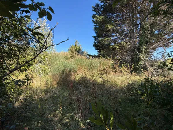 Terrain 637 m²
