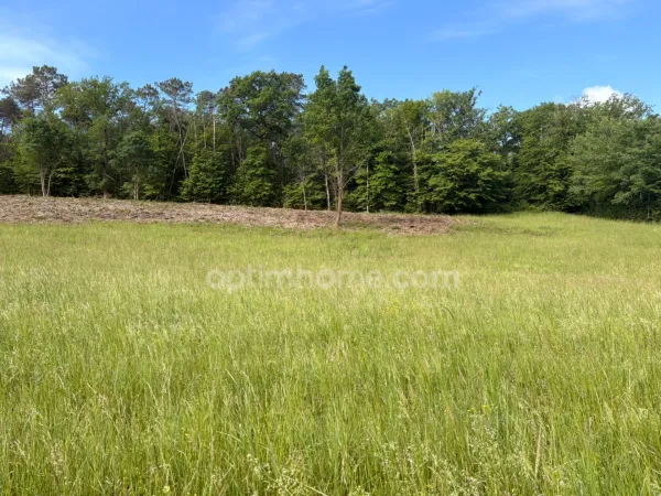 Terrain 2564 m²