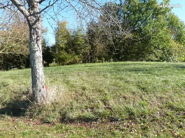 Terrain constructible