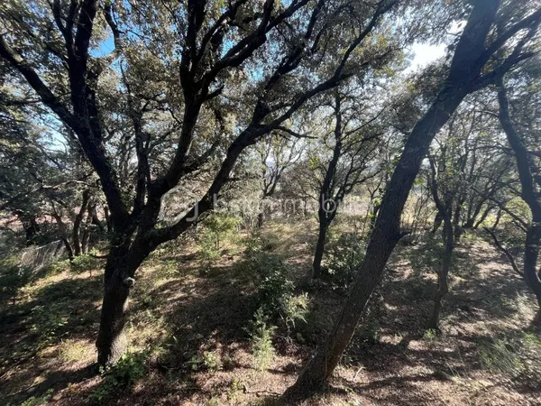 Terrain 1572 m²