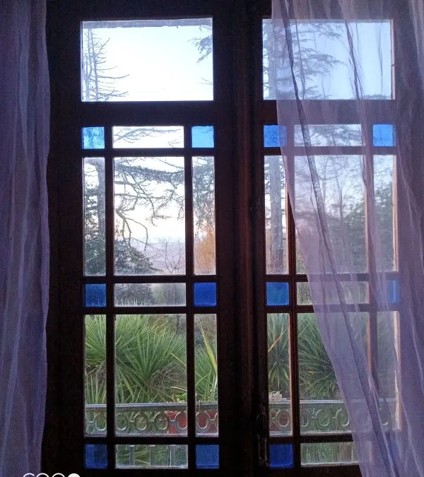 Photo 14