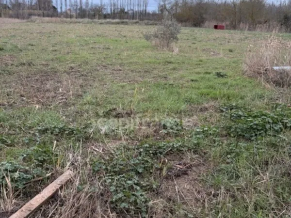 Terrain 6250 m²