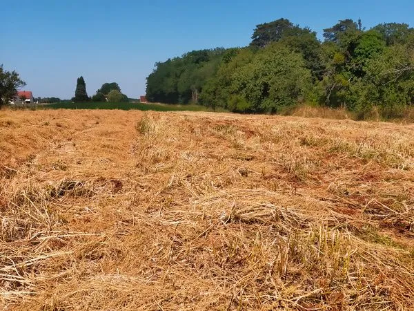 Terrain à vendre