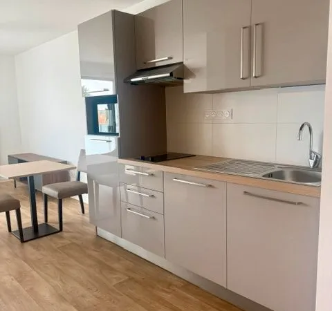 Appartement Studio 33,3 m2