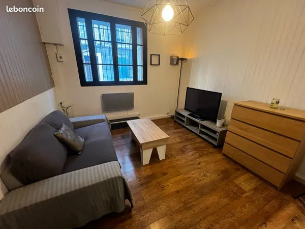 Loft meublé traversant avec terrasse