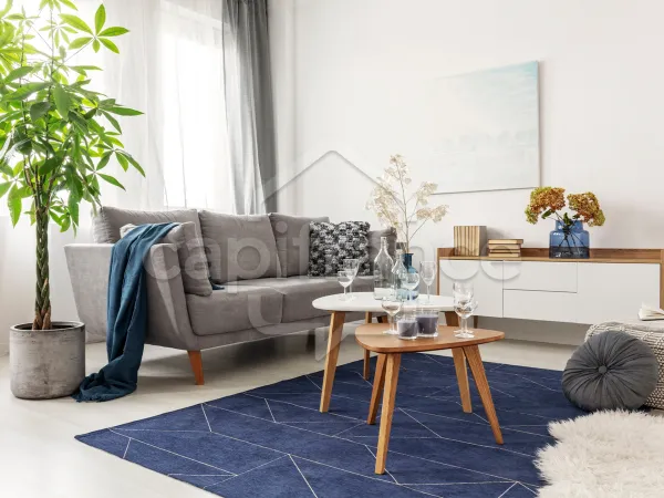 Appartement 4 pièces 81 m²