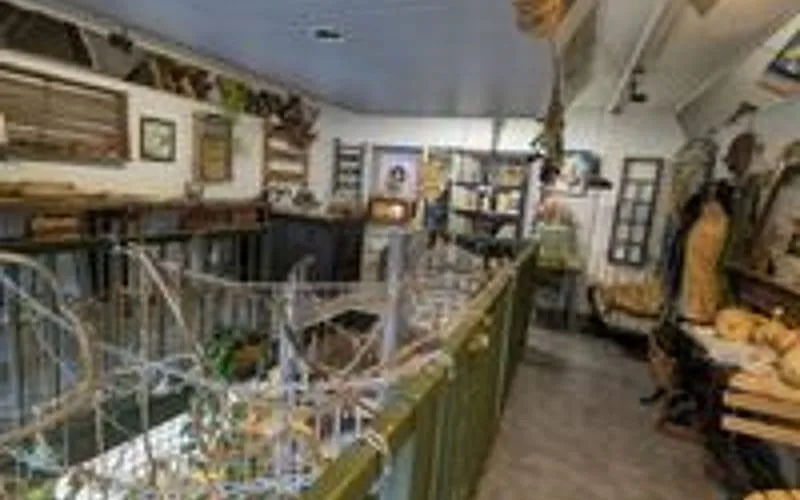Photo 11