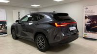 Lexus Nx 450h+ Luxe 4WD MY25 — photo 7