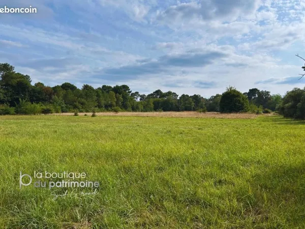 Terrain 1497 m² Bazas
