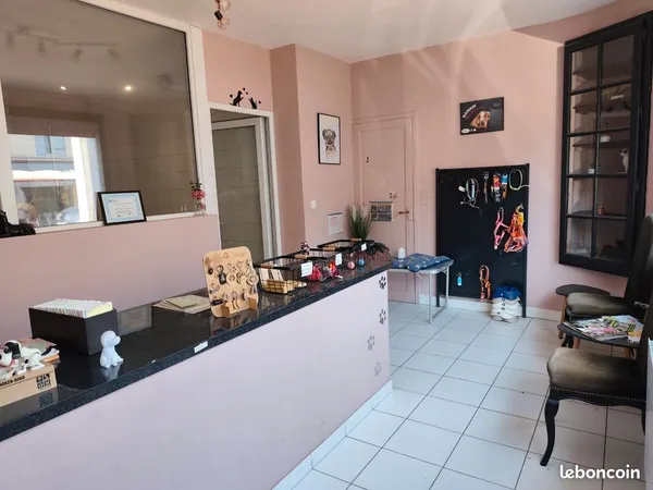 Local professionnel 50m2 à louer