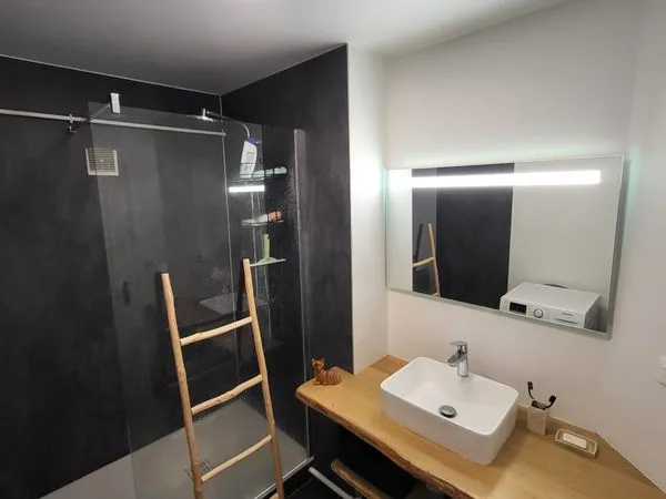 Chambre à louer place des Carmes