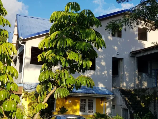 Bien immobilier de rendement Vente Rivière-Salée  60m² 230000€
